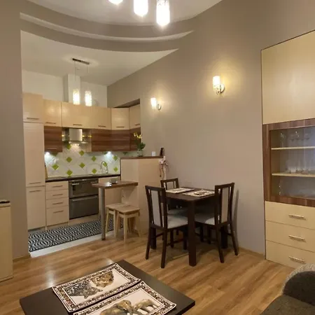 Lublinbnb - Exclusive Family ------ In The Heart Of -------------------------------- Bedroom & Living & Kitchen *